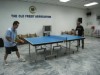 OFA Table Tennis Tournament 2012